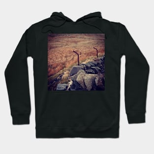 Welsh landscape Hoodie